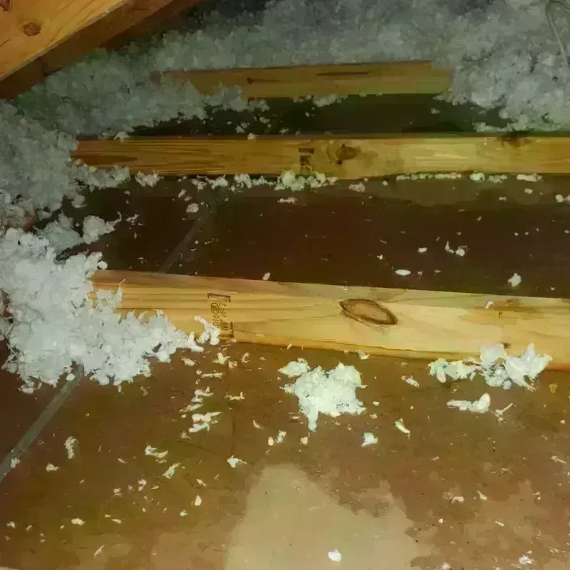 Attic Water Damage in Bradbury, CA