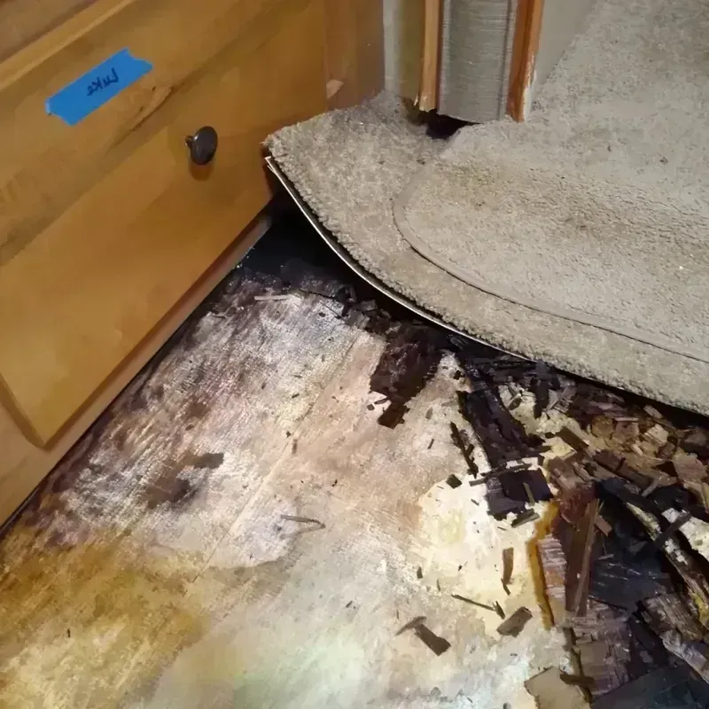 Wood Floor Water Damage in Bradbury, CA